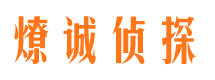 陆河小三调查